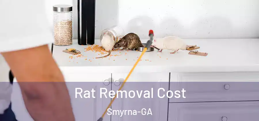 Rat Removal Cost Smyrna-GA