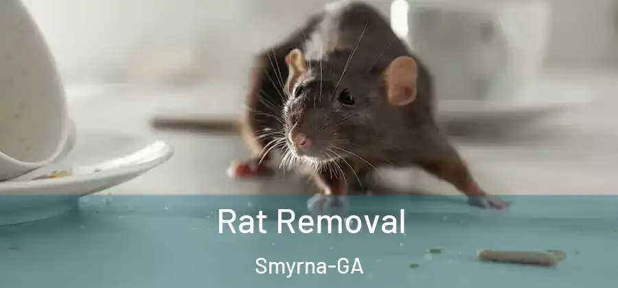  Rat Removal Smyrna-GA