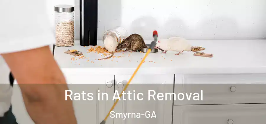 Rats in Attic Removal Smyrna-GA