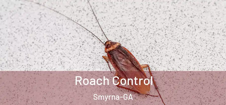  Roach Control Smyrna-GA