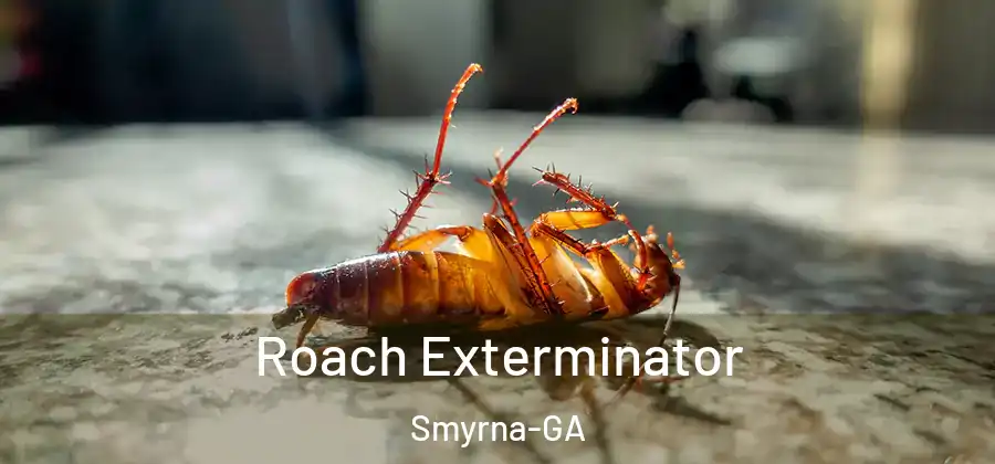 Roach Exterminator Smyrna-GA