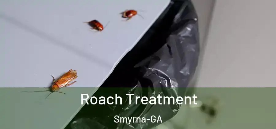 Roach Treatment Smyrna-GA