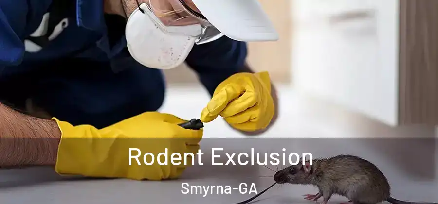 Rodent Exclusion Smyrna-GA