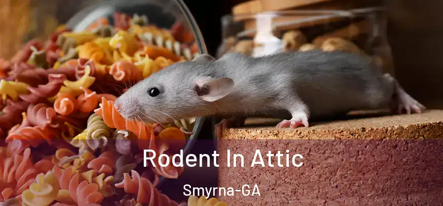 Rodent In Attic Smyrna-GA