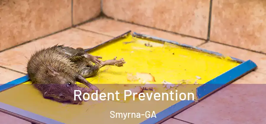 Rodent Prevention Smyrna-GA