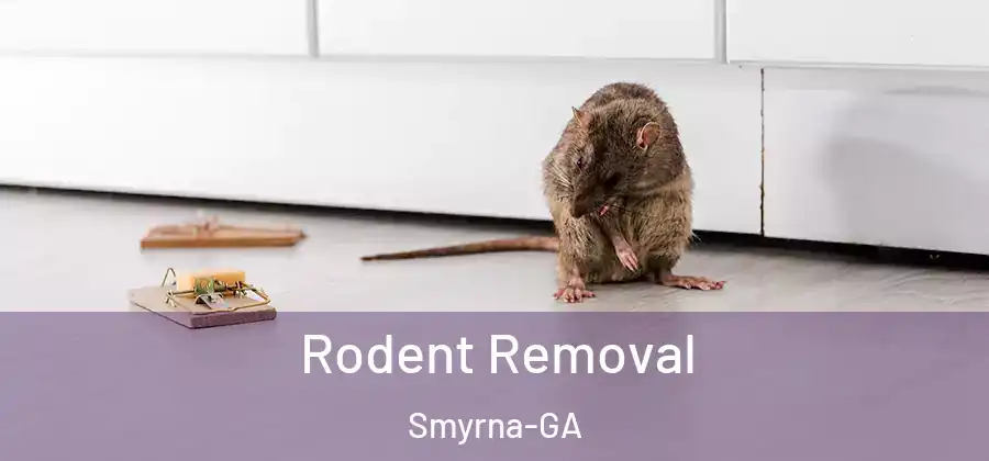 Rodent Removal Smyrna-GA