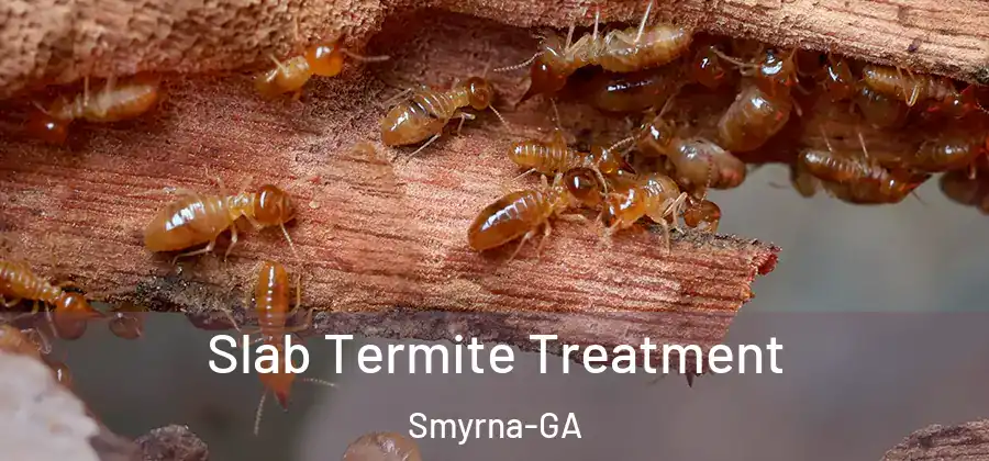  Slab Termite Treatment Smyrna-GA