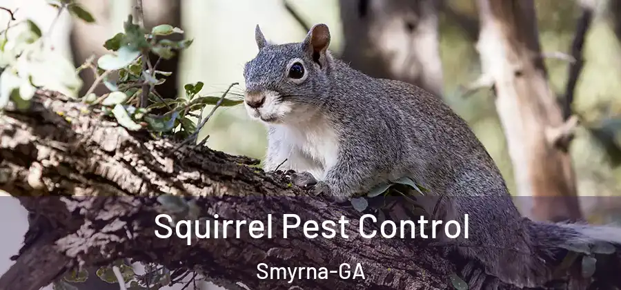  Squirrel Pest Control Smyrna-GA