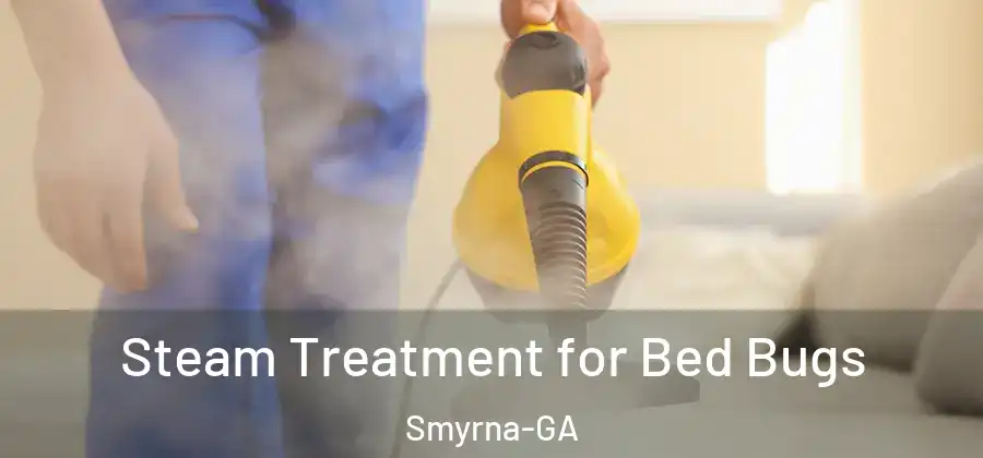  Steam Treatment for Bed Bugs Smyrna-GA