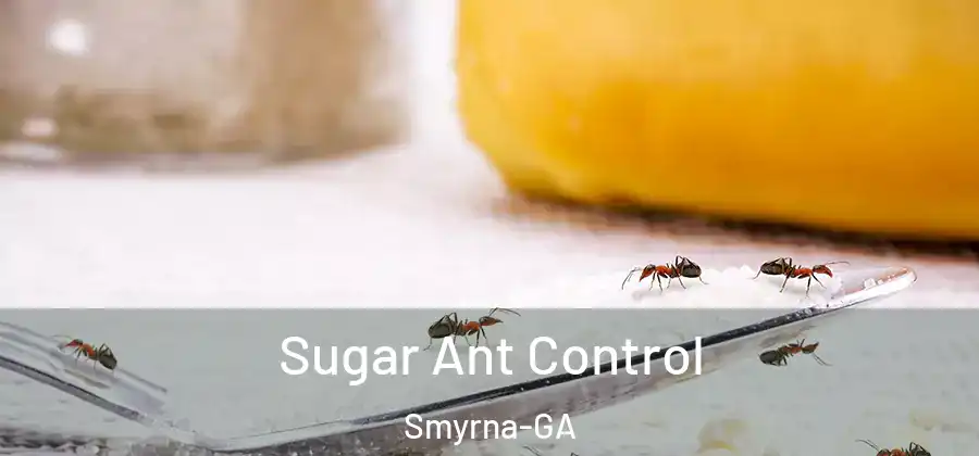  Sugar Ant Control Smyrna-GA