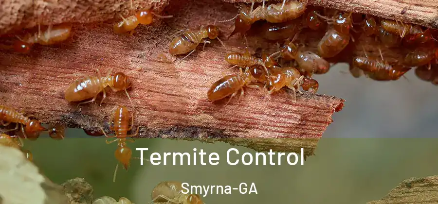 Termite Control Smyrna-GA