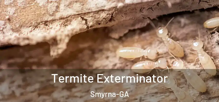  Termite Exterminator Smyrna-GA