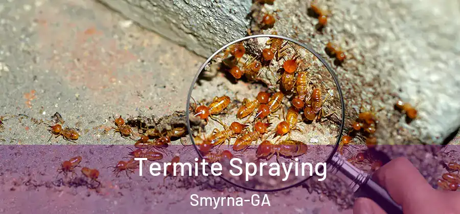 Termite Spraying Smyrna-GA