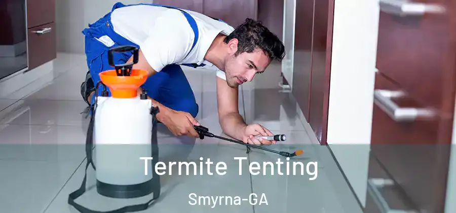  Termite Tenting Smyrna-GA