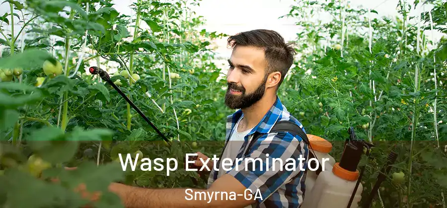 Wasp Exterminator Smyrna-GA