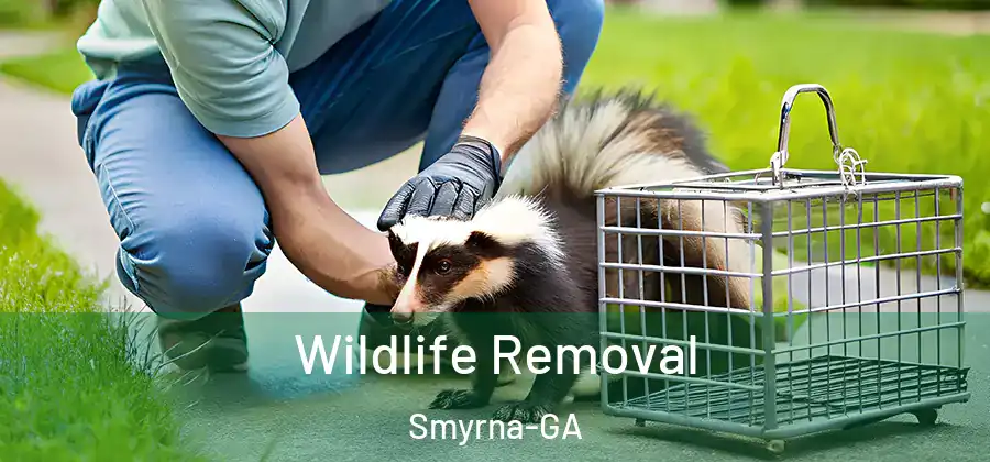 Wildlife Removal Smyrna-GA