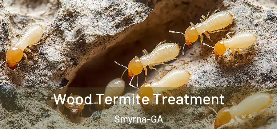 Wood Termite Treatment Smyrna-GA