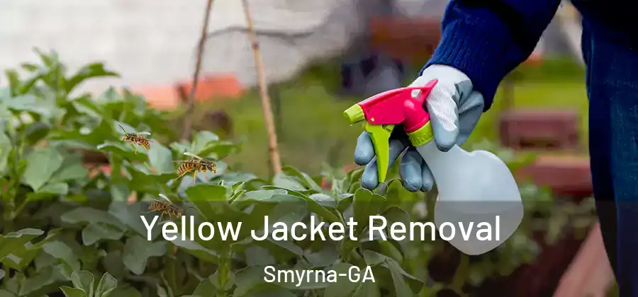 Yellow Jacket Removal Smyrna-GA